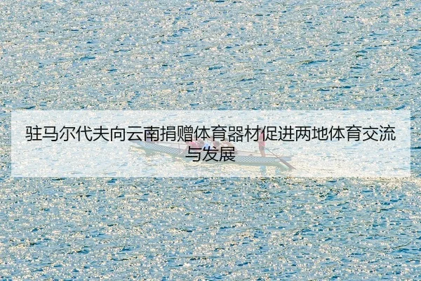 驻马尔代夫向云南捐赠体育器材促进两地体育交流与发展