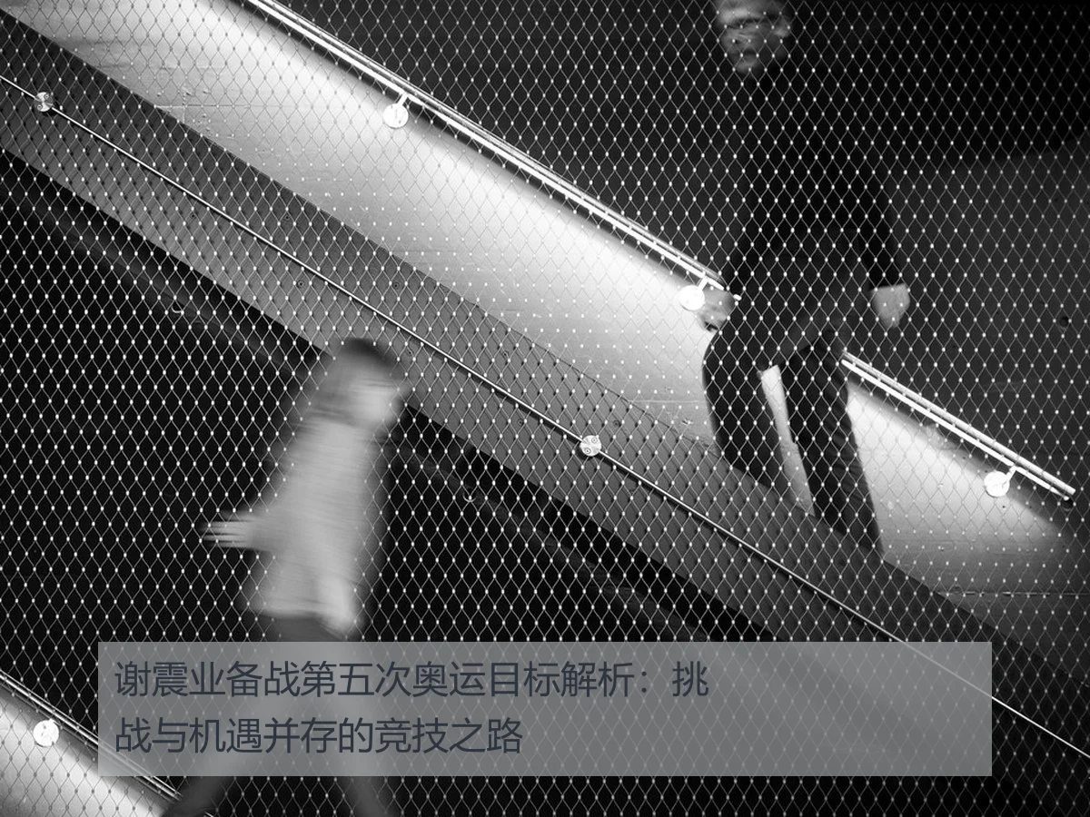 谢震业备战第五次奥运目标解析:挑战与机遇并存的竞技之路